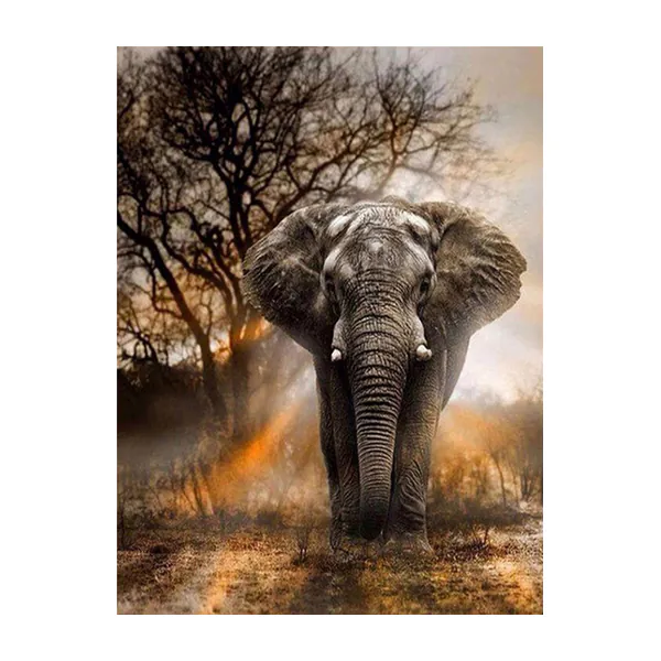 Rubye® Diamond Painting Volwassenen - Diamond Painting Kinderen - Olifant - 30x40cm